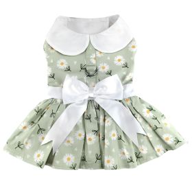 Mint Green Daisy Dog Dress with Matching Leash (size: small)